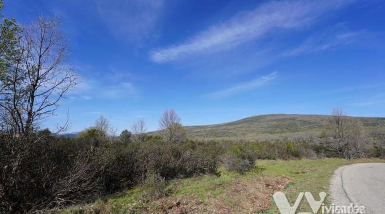 Guadalajara - Campillo de Ranas - 8710m2