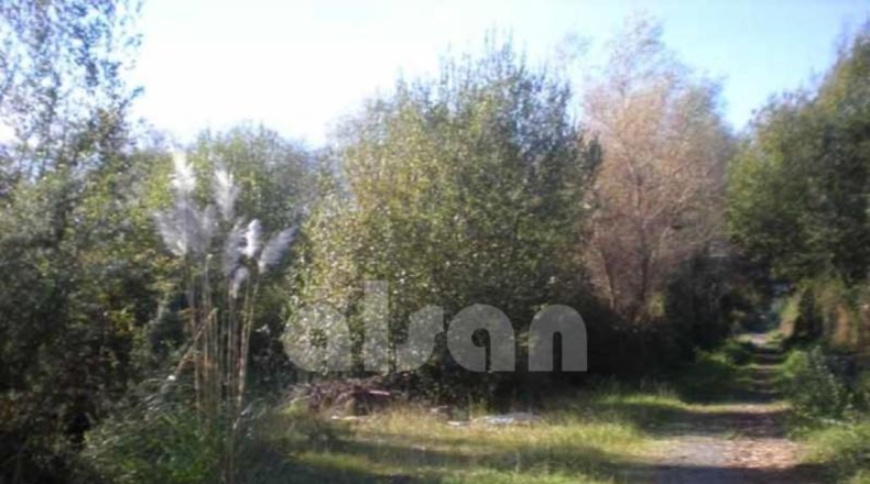 Понтеведра - Sangenjo - 2790m2