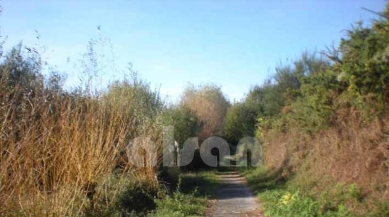 Понтеведра - Sangenjo - 2790m2