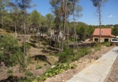Urban land for sale on España, Olivella, ref: TR413077 photo