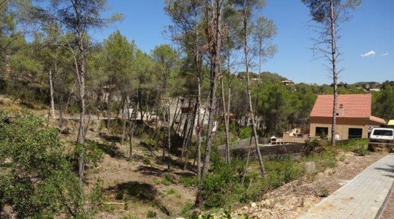 Barcelona - Olivella - 739m2