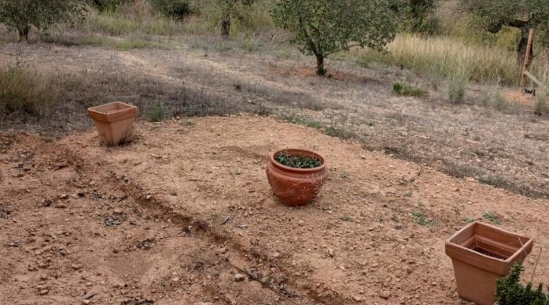 Tarragona - Mont-roig del Camp - 10500m2