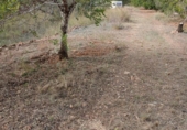 Terreno no urbanizable en venta en la España, Mont-roig del Camp, ref: TR354359 foto