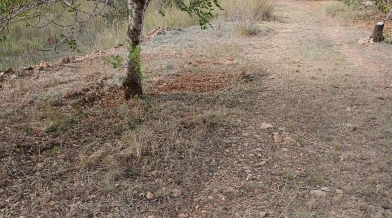 Tarragona - Mont-roig del Camp - 10500m2