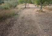 Terreno no urbanizable en venta en la España, Mont-roig del Camp, ref: TR354359 foto