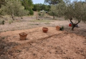 Terreno no urbanizable en venta en la España, Mont-roig del Camp, ref: TR354359 foto