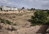 Non-developable land for sale on España, Librilla, ref: TR413088 photo