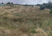 Non-developable land for sale on España, Librilla, ref: TR413088 photo