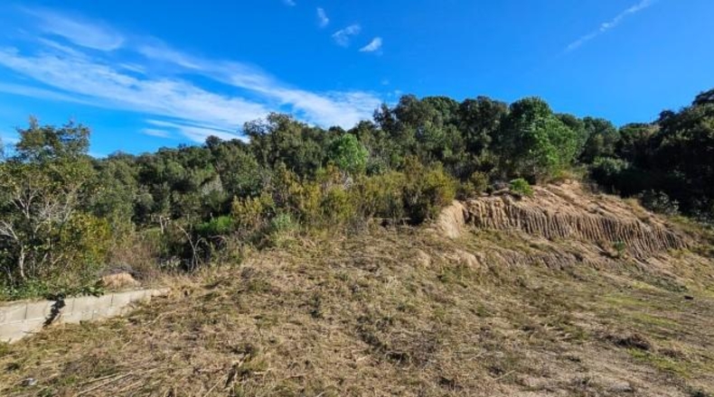 Gerona - Maçanet de la Selva - 1182m2