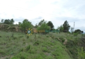 Terreno no urbanizable en venta en la España, Castelló de Rugat, ref: TR315760 foto