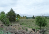 Terreno no urbanizable en venta en la España, Castelló de Rugat, ref: TR315760 foto
