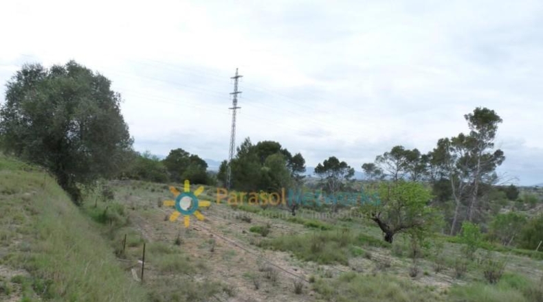Валенсия - Castellón de Rugat - 15000m2