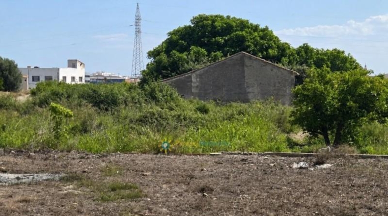 València - Piles - 478m2