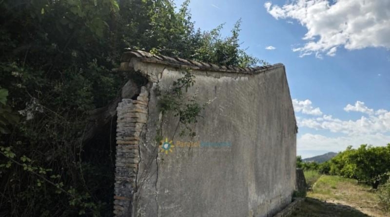 València - Piles - 478m2