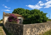 Terreno no urbanizable en venta en la España, Piles, ref: TR413089 foto