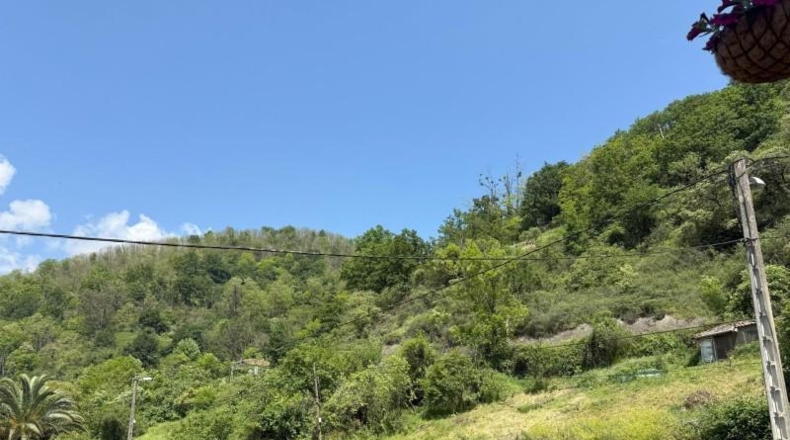 Asturias - Pola de Lena - 557m2