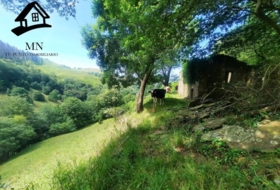 Selaya 9710&nbsp;m²