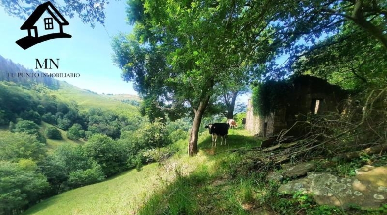 Cantabria - Selaya - 9710m2