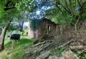 Chalet independiente con terreno en venta en la España, Selaya, ref: TR413090 foto