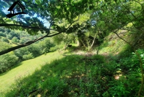 Selaya 9710&nbsp;m²