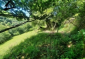 Chalet independiente con terreno en venta en la España, Selaya, ref: TR413090 foto