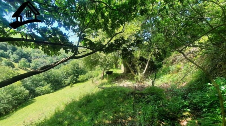 Cantabria - Selaya - 9710m2
