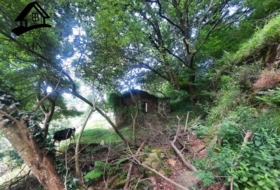 Selaya 9710&nbsp;m²