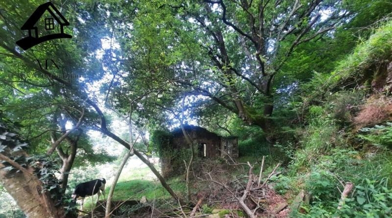 Cantabria - Selaya - 9710m2