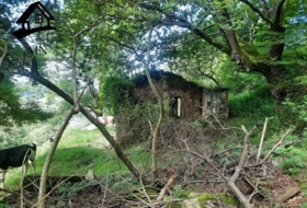 Selaya 9710&nbsp;m²