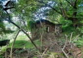 Chalet independiente con terreno en venta en la España, Selaya, ref: TR413090 foto