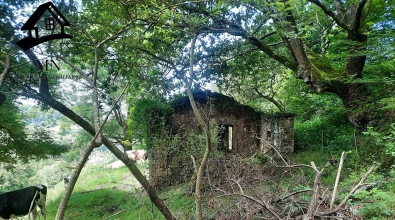 Cantabria - Selaya - 9710m2