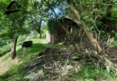 Chalet independiente con terreno en venta en la España, Selaya, ref: TR413090 foto