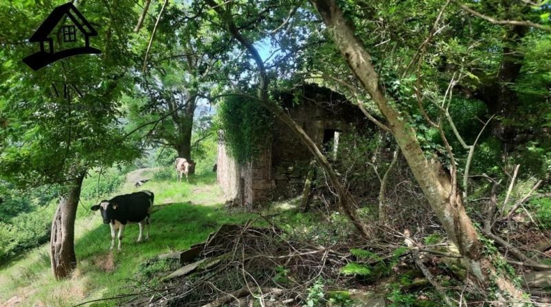 Cantabria - Selaya - 9710m2