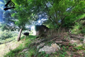 Selaya 9710&nbsp;m²
