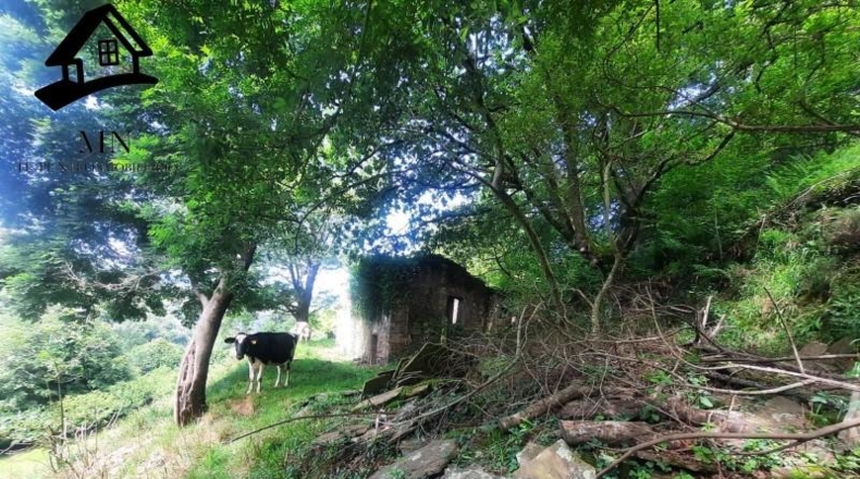 Cantabria - Selaya - 9710m2