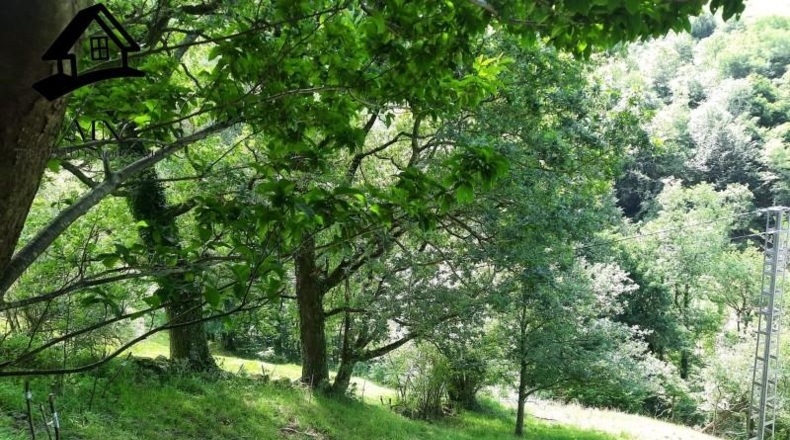 Cantabria - Selaya - 9710m2