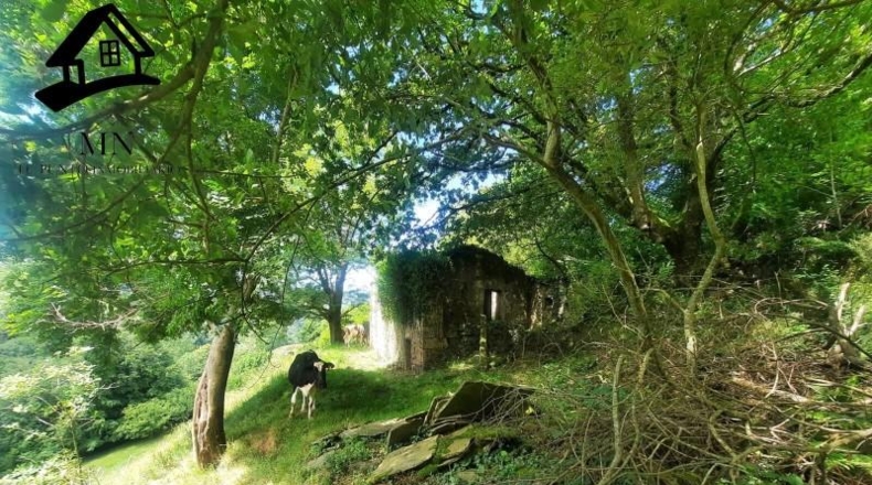 Cantabria - Selaya - 9710m2