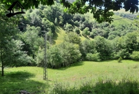 Selaya 9710&nbsp;m²