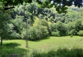 Chalet independiente con terreno en venta en la España, Selaya, ref: TR413090 foto