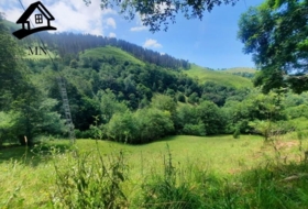 Selaya 9710&nbsp;m²