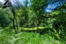 Selaya 9710&nbsp;m²
