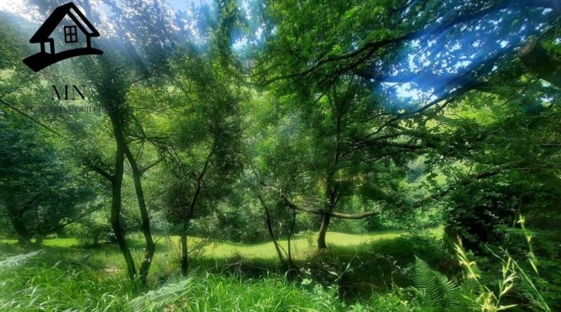 Cantabria - Selaya - 9710m2