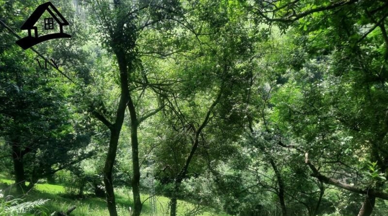 Cantabria - Selaya - 9710m2