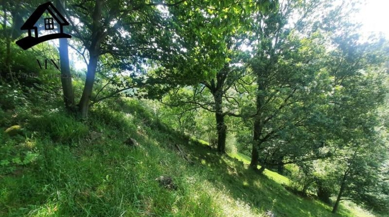 Cantabria - Selaya - 9710m2