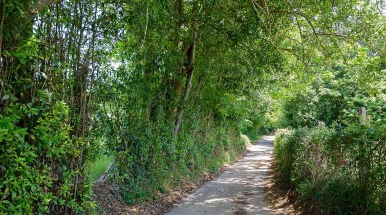 Asturias - Pola de Siero - 1500m2