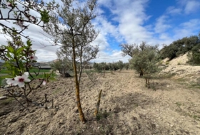 Alhendín 3183&nbsp;m² 