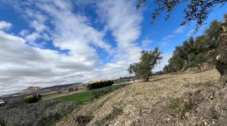 Granada - Alhendín - 3183m2