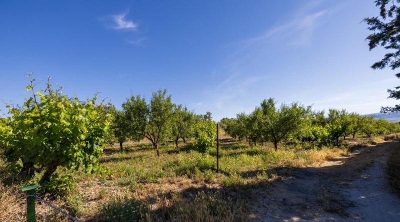 Granada - Dúrcal - 3706m2