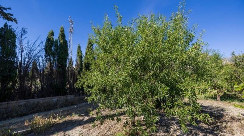 Granada - Dúrcal - 3706m2