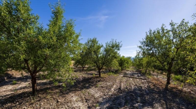 Granada - Dúrcal - 3706m2